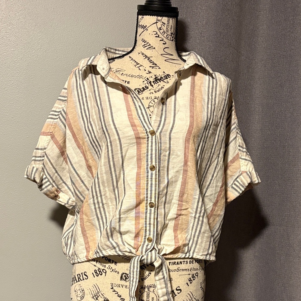 American Eagle Outfitters Multicolor Striped Button-Down Shirt